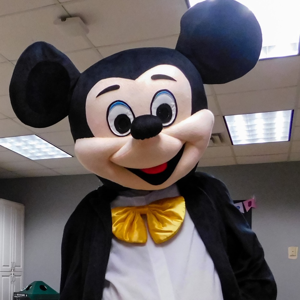 Mickey costume